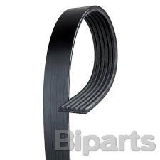 Ford Van.Kayışı  1.0 Fox Motor (6Pk 1502) Fiesta  13/ CM5Q 6C301 BA-1761929