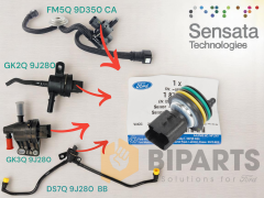 Ford / Peugeot Yakıt Başınç Sensörü 81CP38-01