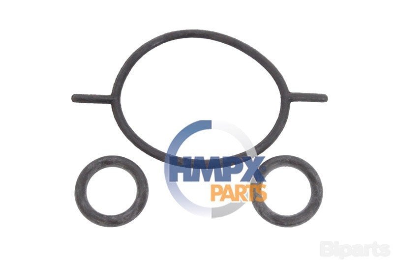 Ford CONNECT 1.8 TDCI Vakum Pompa O Ring Takımı HMP 1S4Q 2A454 AB-TT