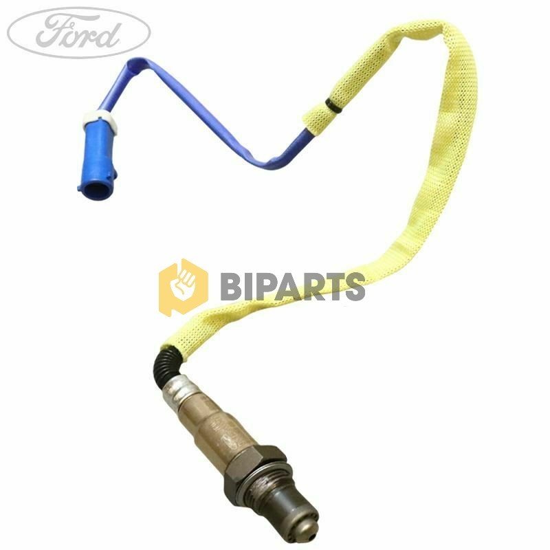 Ford  Yeni Focus (C346) 14- Bm Alg. - Egz.Gazı - Oksıjen DV6A 9G444 AA