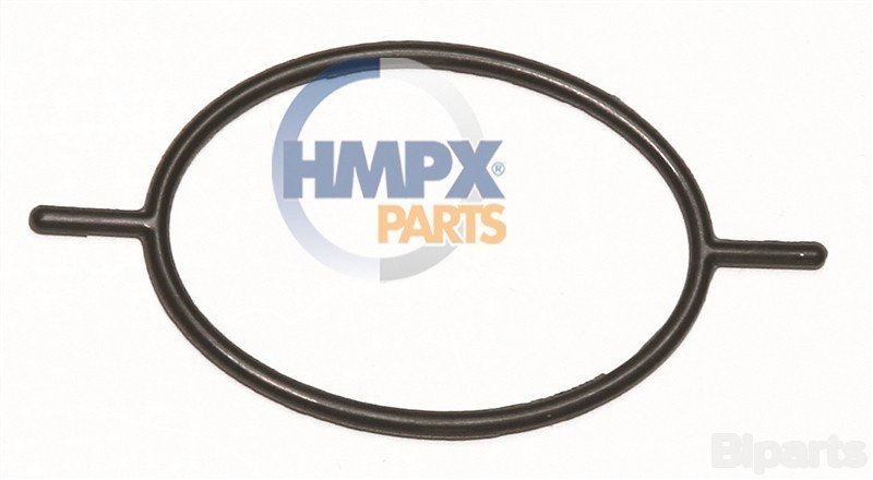 Ford CONNECT 1.8 TDCI 02- Vakum Alt Oring ARI 720