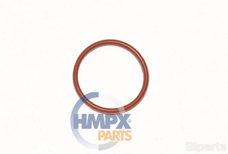 Ford TRANSIT V347 3.2 D 06> Yağ Süzgeç Oringi 200Ps ARI 971